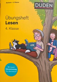 &Uuml;bungsheft LESEN 4. Klasse